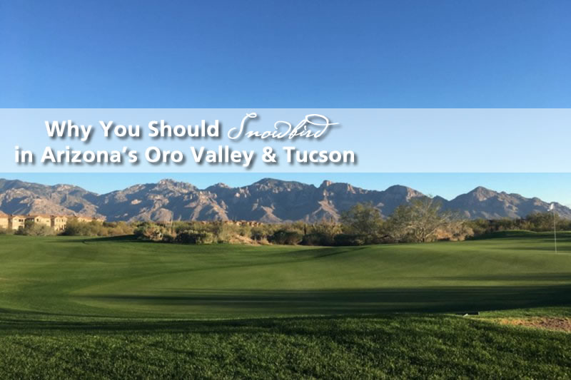 Why You Should Snowbird In Oro Valley